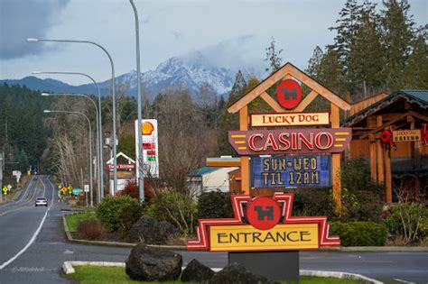 Lucky Dog Casino review and player feedback .